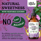 Echinacea Drops - Organic Echinacea Tincture - Echinacea Root Supplement - Vegan, Alcohol Free - 4 fl oz