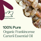 Plant Therapy Organic Frankincense Carterii Essential Oil 100% Pure, USDA Certified Organic, Undiluted, Natural Aromatherapy, Therapeutic Grade 10 mL (1/3 oz)