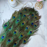 THARAHT 60pcs Peacock Feather Natural in Bulk 10-12 inch 25-30cm for Craft Vase Wedding Home Party Christmas Day Decoration Peacock Feathers