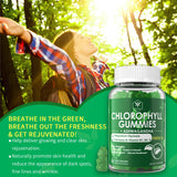 Chlorophyll Ashwagandha Gummies 200mg, with Fiber, Magnesium Glycinate, Echinacea, Vitamin D B1 B2 for Internal Deodorant, Healthy Skin, Comfort Digestion, Metabolism Support, Fresh Body Odor, 2 Packs