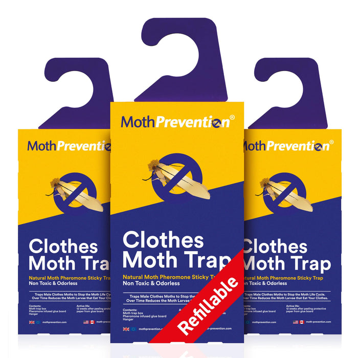Powerful Moth Traps for Clothes & Closets | Refillable 3-Pack | Odor-Free & Natural | Moth Pheromone Traps for House & Clothing