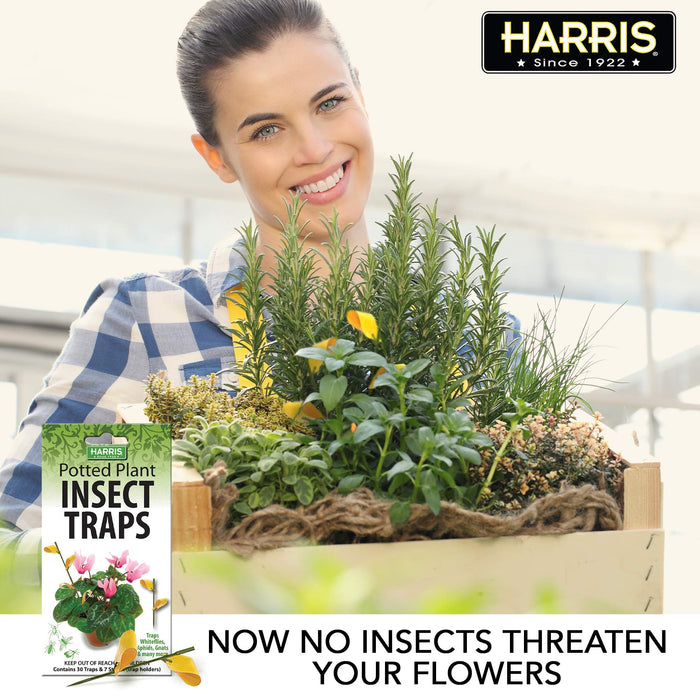 Harris Potted Plant Insect Traps for Gnats, Aphids, Whiteflies and More (30 Traps, 7 Stakes)