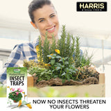 Harris Potted Plant Insect Traps for Gnats, Aphids, Whiteflies and More (30 Traps, 7 Stakes)
