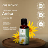 Sheer Essence Arnica Essential Oil 100% Pure, Natural and Cold Pressed - Therapeutic Grade Arnica Montana Massage Oil for Skin, Hair, Aromatherapy & DIY - 4 fl. oz. (118 ML)