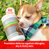 PawMedica Dog Probiotics and Digestive Enzymes, Probiotics for Dogs Made in USA, Pet Probiotic Chews for Dogs, Prebiotics & Probiotic Dog Digestive Support, Probiotic Treats - 60 Dog Probiotic Chews