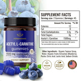 Acetyl L-Carnitine 1500mg Gummies - Daily Energy Gummies to Support Cognitive Mental Sharpness & Immune System Function - 90 Blueberry Gummies per Bottle