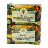 Wavertree & London Havana Scented Natural Soap (2 Bars), 7oz Moisturizing French Triple Milled Soap Bars enriched with shea butter - Pure Plant Oil Bath & Body Soap for All Skin Types