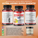 ULTRA HERBS Premium Berberine 12,200MG with Cinnamon, Milk Thistle *USA Made & Test* Promotes Liver Function, Gut Health, Immunity (150 Count (Pack of 1))