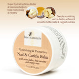 Nail & Cuticle Balm - Cocoa Butter & Beta Carotene Blend for Strong, Smooth Nails - luscious natural tangerine fragance Shea Butter & Beeswax Cruelty-Free Nail Care