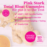 Pink Stork Bloat Gummies - Turmeric and Ginger for Digestion, Detox, Gas, Energy Support, and Immune Health - 60 Spiced Apricot Bloating Supplements
