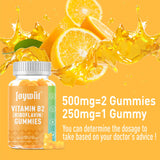 Joywiit Vitamin B2 Gummies Riboflavin 500mg for Adults, Migraine Relief & Nervous System Support，Orange Flavor, Non GMO, Vegan, Pectin - 120 Counts