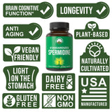 Spermidine Supplement Ultra High Strength Standardized to 99% Spermidine Trihydrochloride. More Potent Than Wheat Germ Extract. Vegan Capsules for Healthy Aging, Longevity. USA Tested Supplements