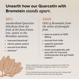 Rootcha Quercetin with Bromelain - Bioactive Fava d'anta Derived Quercetin with 2400 GDU/g Bromelain 120 Capsules