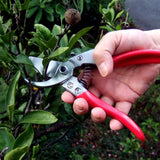 ARS HP-VS8Z Signature Heavy Duty Pruner