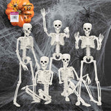 5 Pack Skeletons Halloween Decorations,16in Full Body Posable Joints Halloween Skeleton Decor with 22 Spiders& Cobweb Outdoor Halloween Decorations Indoor Spooky Party Props Halloween Tree Decors