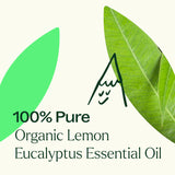 Plant Therapy Organic Lemon Eucalyptus Essential Oil 100% Pure, USDA Certified Organic, Undiluted, Natural Aromatherapy, Therapeutic Grade 30 mL (1 oz)