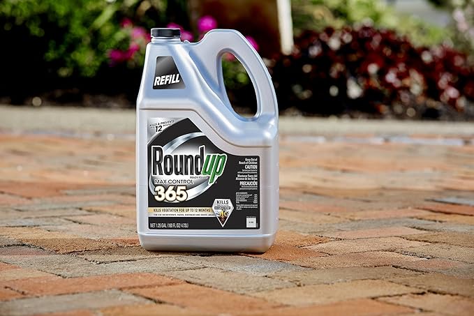 Roundup 5000710 Ready-to-Use Max Control 365 Refill, 1 Pack,