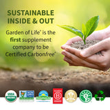 Garden of Life Sport Organic Plant Based Energy + Focus Clean Pre Workout Powder, with 85mg Caffeine, Natural No Booster, B12, Vegan, Gluten Free, Non-GMO, Blackberry, 15.3 Oz