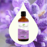 Plant Therapy Organic Lavender Essential Oil 100% Pure, USDA Certified Organic, Undiluted, Natural Aromatherapy, Therapeutic Grade 100 mL (3.3 oz)