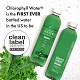 Chlorophyll Water Plant Based Vitamin Water w/Chlorophyll Liquid | Antioxidants, Detox Water, Immune Support, Energy Boost | Liquid Chlorophyll, Mineral Water, Vitamins A,B,C,D | Zero Calories 6pk