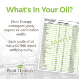 Plant Therapy KidSafe Organic Destroyer Essential Oil Blend 10 mL (1/3 oz) 100% Pure, Undiluted, Therapeutic Grade