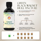 Dr Clark Store Green Black Walnut Hull Tincture - Highly Potent Formula with Black Walnut Extract - All Natural Intestine Support Black Walnut Tincture Comes with a Dropper, 2 fl. oz (60cc)