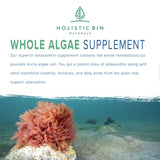 Holistic Bin Organic Astaxanthin Powder | Powerful Natural Antioxidant Supplement for Smoothies and Capsules | Whole Haematococcus Pluvialis Algae Supplement (20 Grams)