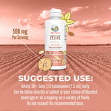 Vegan Lysine Supplement by MaryRuth's | Ultra Absorption | Lysine 500mg | Collagen Formation Support | Immune Support Supplement | Health & Wellness | Non GMO | Gluten Free | 30 Servings