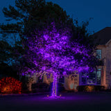 TW SHINE Halloween Lights, 400 LED 132FT Outdoor Halloween Lights Plug in with 8 Modes, Waterproof Christmas Lights Outdoor, Indoor Decorations for Party Yard Haunted House Decor, Purple