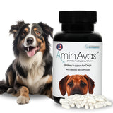 AminAvast Dog Kidney Supplement - Supports Natural Kidney Function - Promotes Health & Vitality of Aging Kidneys - Pet-Friendly, 1000mg, 60 Capsules.