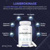 Potent Lumbrokinase Supplement (120 Servings) 40mg/Serving (Max Activity - 800,000 Units) - Lumbrokinase Enzymes Capsules for Energy Support, Digestion, Cognition & Gut Health - Similar to Nattokinase