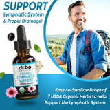 Lymphatic Drainage Supplements Drops - Organic Lymphatic Support Liquid Drops Cleanse with Echinacea for Lymph System Support Supplement, Lymph Node Detox Lymphatic System Drainage - 1oz Vegan Non-GMO