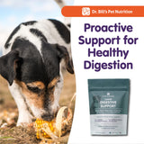 Dr. Bill’s Canine Digestive Support | Probiotics & Prebiotics for Dogs | Gut Health Pet Supplements | Contains Ginger Root, Psyllium Husk, Lemon Balm and Bifidobacterium