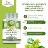 Organic Veda Amla Capsules - 1000mg, 300 Capsules Organic Whole Fruit Amla Powder - Natural Vitamin C for Immunity, Skin Radiance, Antioxidants - Vegan, Non GMO, Raw Vitamin C Supplements