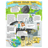 NATURAL SHILAJIT Resin - Shilajit for Men & Women with Fulvic Acid & Trace Minerals, Plant Based Nutrients for Energy, Immune Support & Vitality Resin - 20 Gram