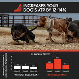 Bully Max 3-in-1 Liquid Muscle Building Supplement for Dogs. for All Breeds & Ages. Clinically Tested. #1-Rated Brand Since 2008