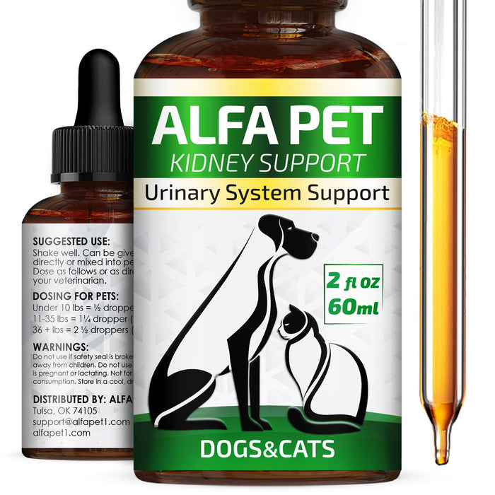 Dog Urinary Tract Infection Treatment • Cat Treatment for UTI • Kidney Support for Dogs • Dog UTI Treatment • Feline UTI Treatment • Dog Kidney Support • Kidney Support for Cats