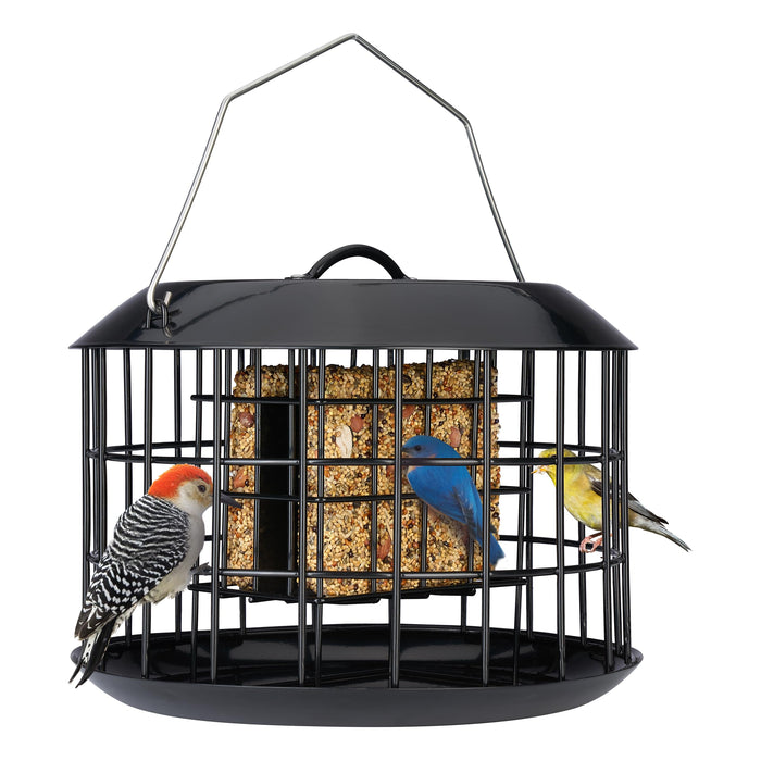 Kingsyard Squirrel Proof Suet Feeder, Cage Bird Feeders for Outdoors Hanging, All Metal, Double Suet Cake Capacity, Tray & Weatherproof, Black