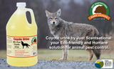 Just Scentsational RS-128 Coyote Urine for Gardens, Hunters, and Trappers, 128 oz (1 Gallon)