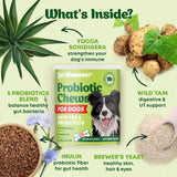 Probiotics for Dogs - Probiotic Chews for Dogs Digestion & Gut Health - Immune & Yeast Balance Dog Probiotics - Bowel Support Probiotic and Prebiotic for Dogs - Itch and Allergy Dog Probiotic - 120pcs