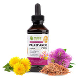 Maxx Herb PAU D’Arco Extract with Dandelion Root & Red Clover Therapeutic Blend, PAU Darco Tincture Absorbs Better Than Taheebo Tea or Capsules, for Immune Support - 4 Oz Bottle (60 Servings)