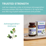 Himalaya Ashwagandha+ Immune with Ashwagandha, Elderberry, Zinc & Vitamin C for Active Immune Support, 60 Capsules, 1 Month Supply, Vegan, Gluten Free