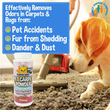 Bodhi Dog Natural Dog Odor Carpet Powder | Dry Pet Smell Eliminator | Remove Urine Smells | Plant Based and Biodegradable Room Powder | Loosens Fur and Dirt (Pack of 1)