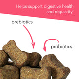 VetriScience Probiotic Everyday for Dogs Duck Flavor 120 Chews - Itchy Skin Gut Health and Gas Relief with Prebiotics