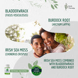 Herb Therapy Sea Moss Capsules 100 Pack - Irish Sea Moss with Bladderwrack Powder & Burdock Root Powder - Keto & Alkaline Diet Support - No Fillers Seamoss Raw Supplement