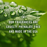 P&J Fragrance Oil - Eucalyptus Scented Candles, Soaps, Diffusers, and More - 100ml