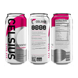 CELSIUS ESSENTIALS, Sparkling Dragonberry, Performance Energy Drink 16 Fl Oz (Pack of 12)