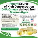 Algal Oil - Vegan DHA Omega 3 Fish Oil Supplements - Brain Booster,Joint Supplement & Prenatal Vitamin -Provides Healthy Heart & Immune Support - Burpless Algae Supplement - 60 Mini Fish Oil Softgels