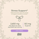 Gaia Herbs Holy Basil Leaf - Helps Sustain a Positive Mindset and Balance in Times of Stress - an Adaptogenic Ayurvedic Herb - 120 Vegan Liquid Phyto-Capsules (60-Day Supply)