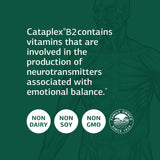 Standard Process Cataplex B2 - Whole Food Nervous System Supplements, Metabolism, Brain Supplement and Liver Support with Calcium Lactate, Riboflavin, Wheat Germ, Choline and More - 90 Tablets